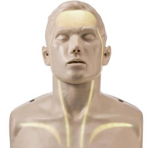 Brayden Reanimation Manikin with LED Lights with 50 free Kiss of Life