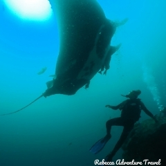 Rebecca Adventure Travel Galapagos Diving