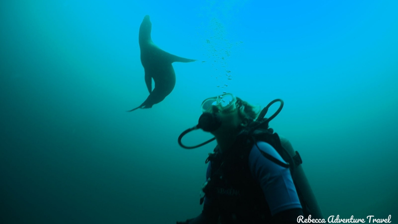Galapagos Diving