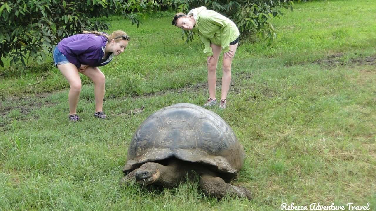 4D-Galapagos-Island-Hopping-Classic_Giant-Tortoise-Tourists