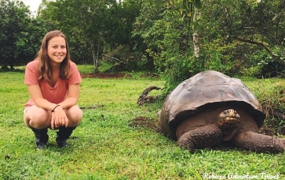 Galapagos Tortoise - Colonial Quito and Galapagos tour