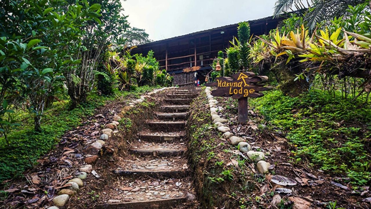Hakuna Matata Amazon Lodge - Tena