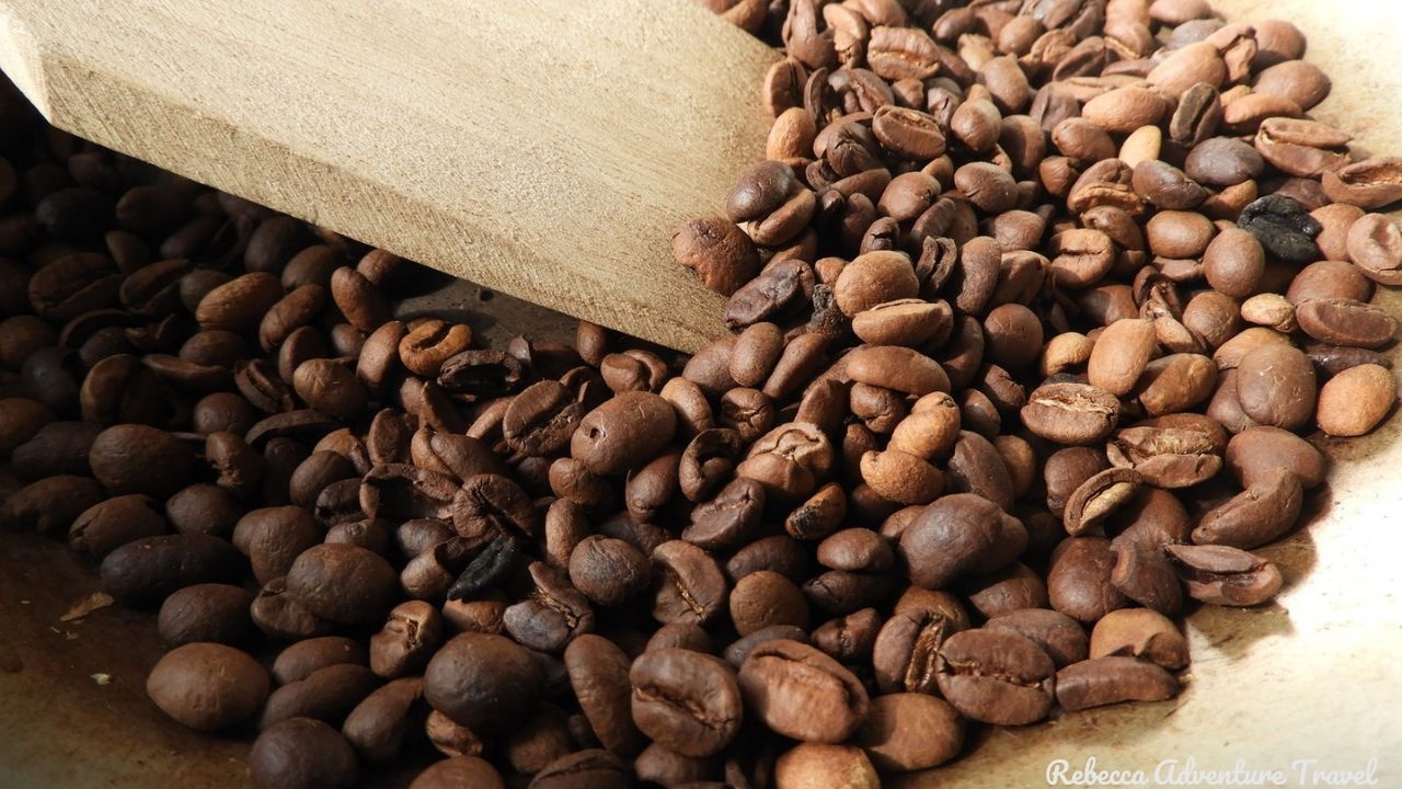 Coffee Region Colombia