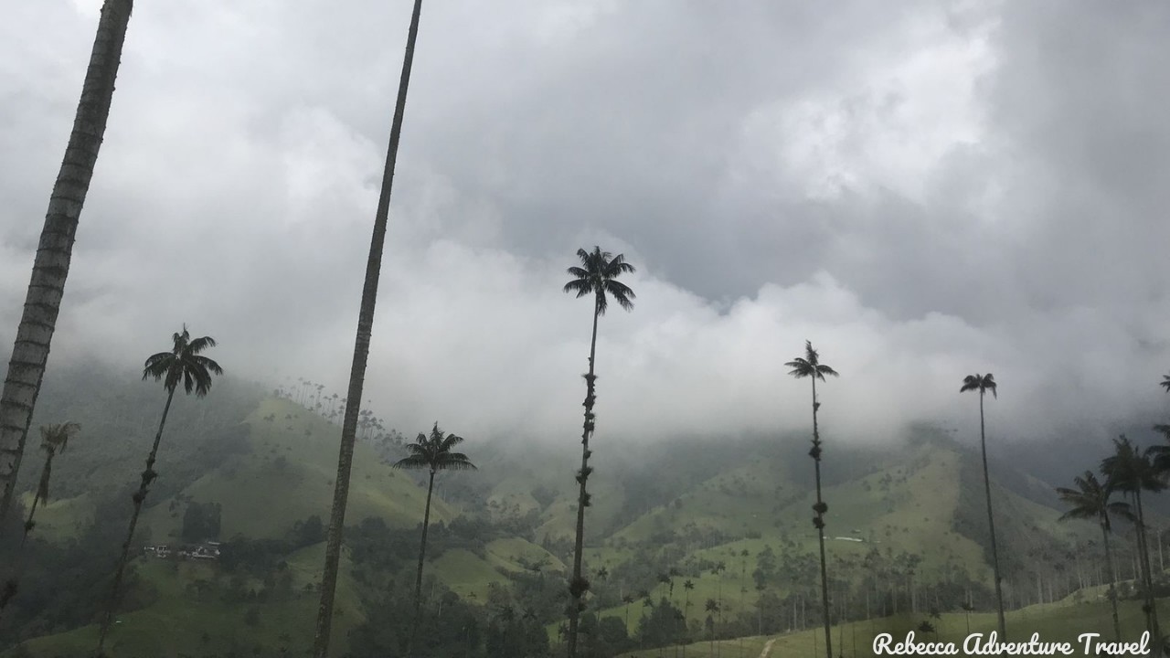 Valle de Samaria - Colombia