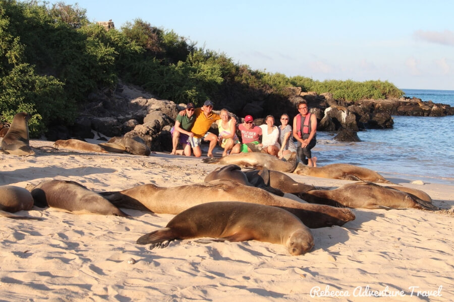 Travel Ecuador - Sleeping sea lions