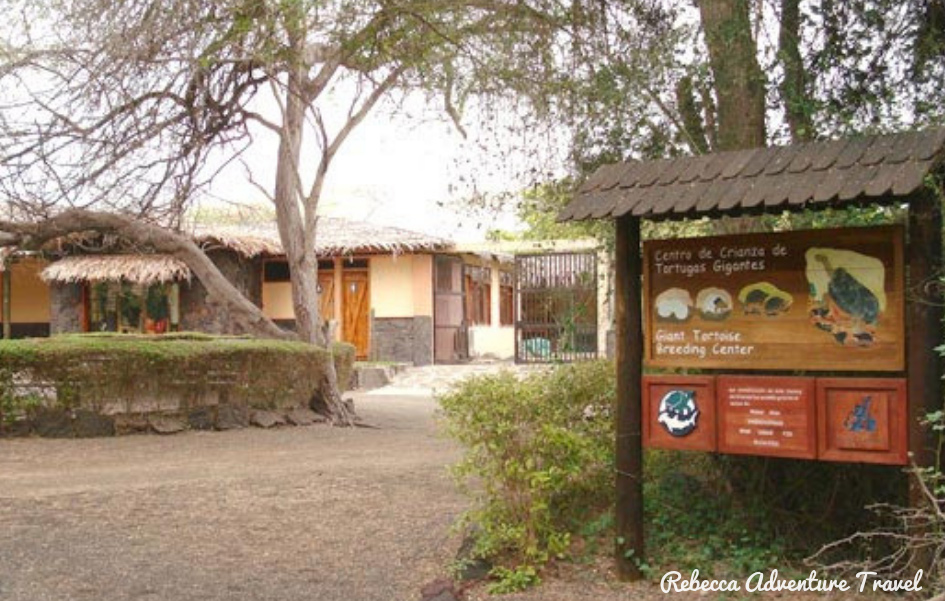 Arnaldo Tupiza Breeding Center - Isabela Island