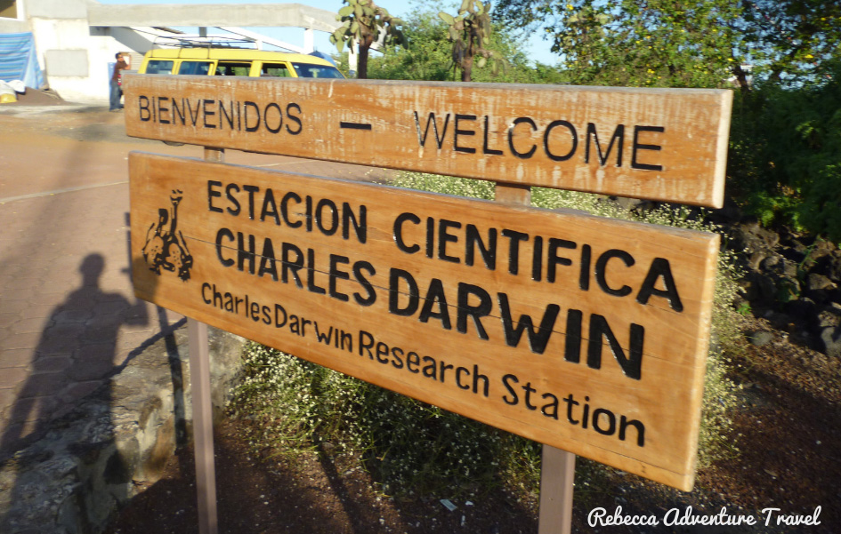 Charles Darwin Research Station - Santa Cruz Island