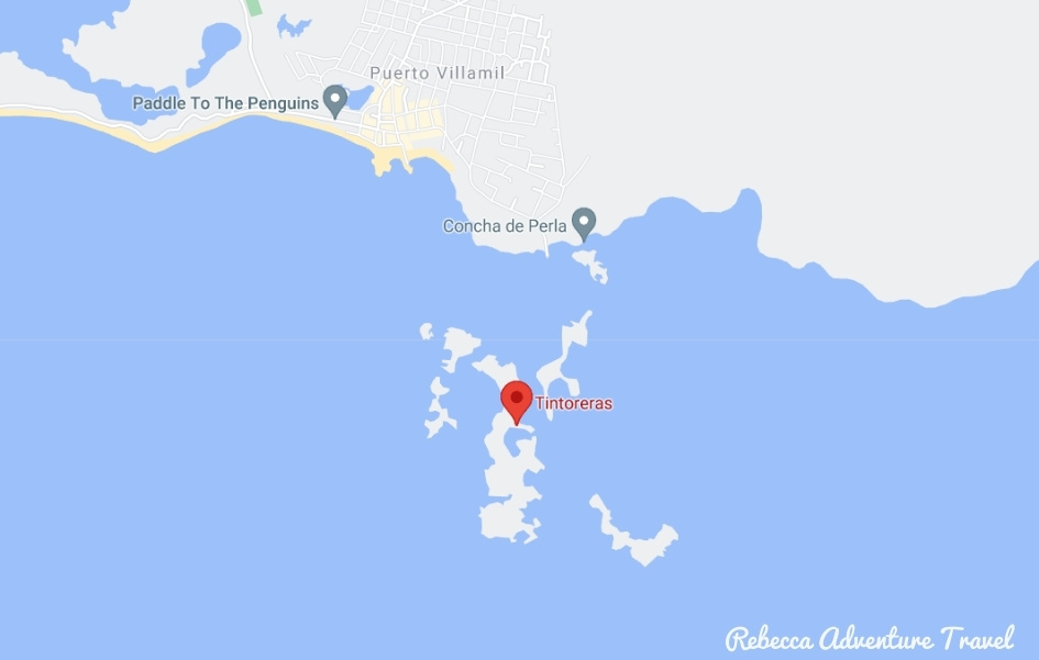 Tintoreras - Isabela Island