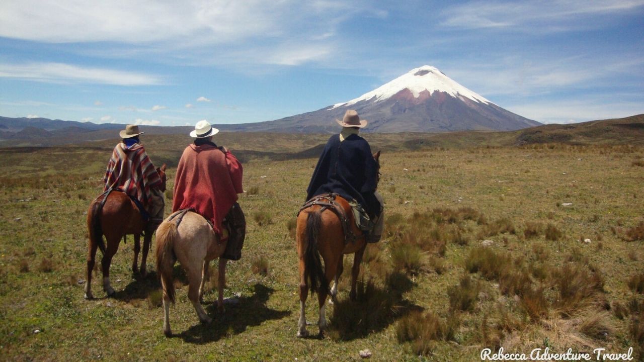 Andes Horseback Riding
