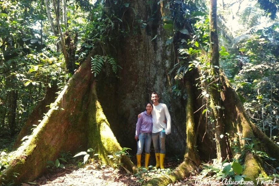 Honeymoon couple at the Amazon