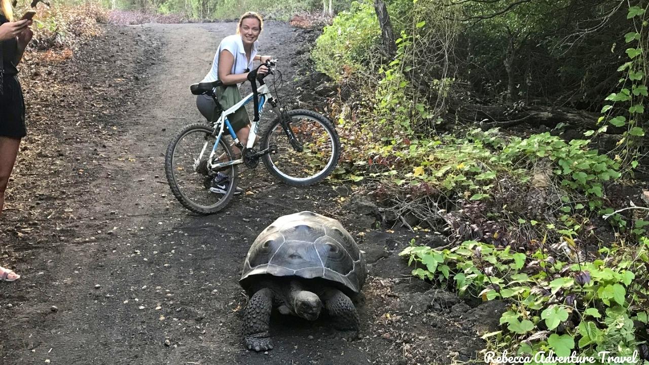 Biking and Galapagos Tortoise