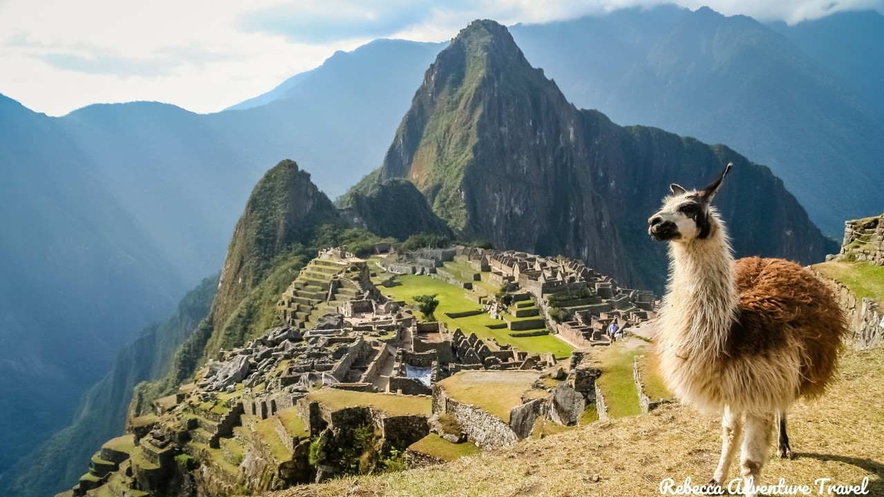 Machu Picchu and llama