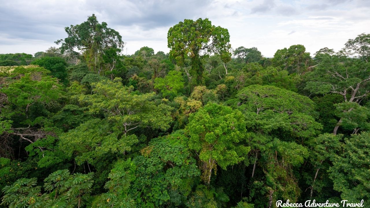 Tambopata Amazon landscape