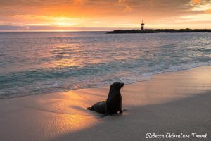 Galapagos is one of the 50 best places to travel