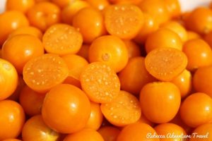 Uvillas or Golden Berry - Ecuadorian Food Guide