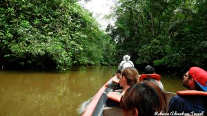Amazon Canoe Trip
