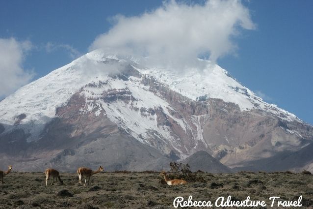 Chimborazo Trail