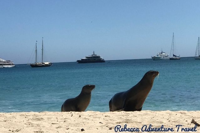 El Garrapatero beach with sea lions and cruises on the horizon