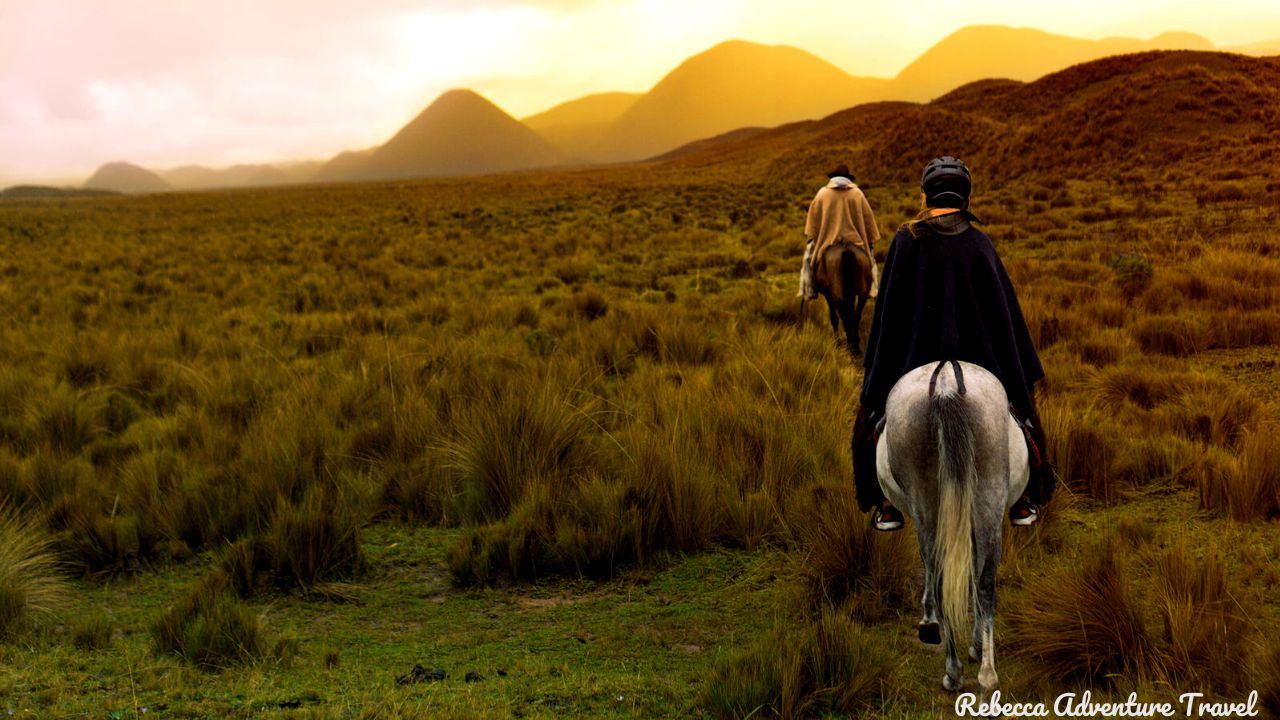Cotopaxi Horseback Riding Tour (8)